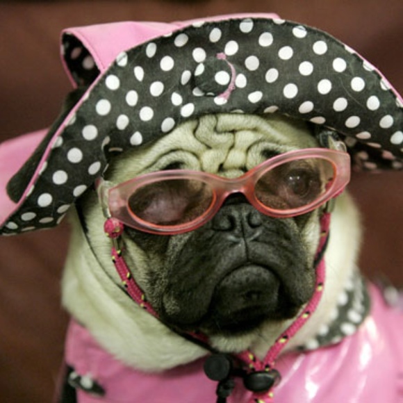 My First Follow Game***Gain Followers!! - Picture 7 of 7